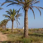 Bonanza غانديا
