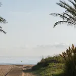 Bonanza